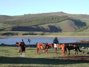 Mongolie à Cheval Mongolie à Cheval