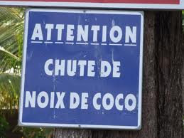 Chute de noix de coco