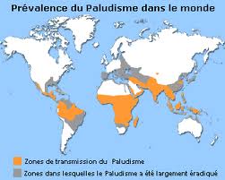 Zone endémiques du paludisme