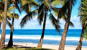 Plages de la Réunion