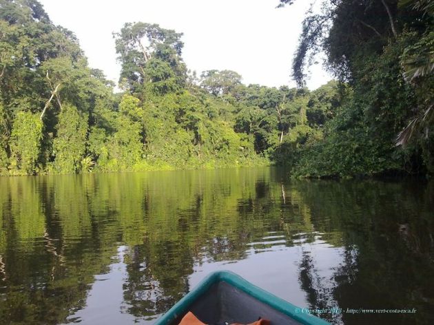 tortuguero