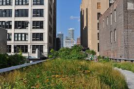 High line