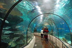 Tunnel de l'aquarium