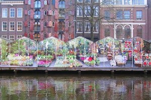marché-aux-fleurs-Amsterdam