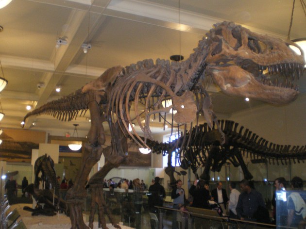 Musée d'Histoire naturelle de New York City